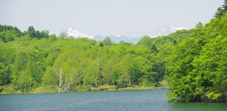 湖岸の緑＆暑寒の山並み.jpg